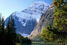 青岛论坛当家花旦天涯社区江湖狂飙