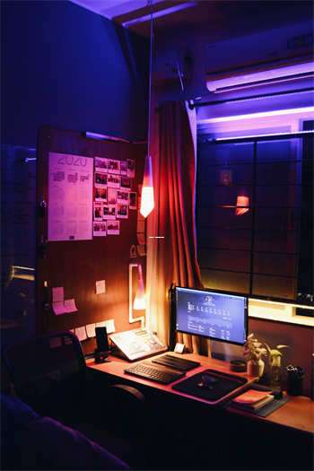 狗狗爱爱661在天涯社区的奇妙故事 第1张